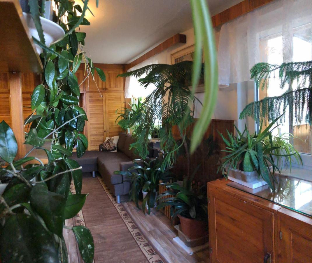 Apartman Olesnik Διαμέρισμα Εξωτερικό φωτογραφία